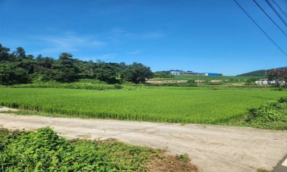 전라남도 영암군 군서면 마산리 321-2 답 경매 사진 1