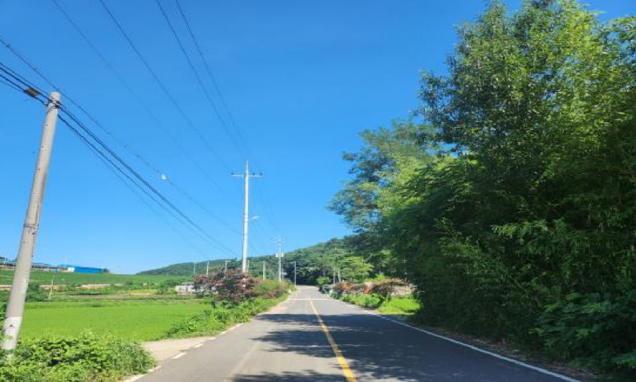 전라남도 영암군 군서면 마산리 321-2 답 경매 사진 3