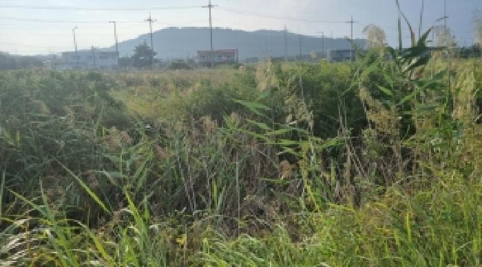 제주특별자치도 서귀포시 성산읍 시흥리 980-9 외 4필지 임야 경매 사진 9
