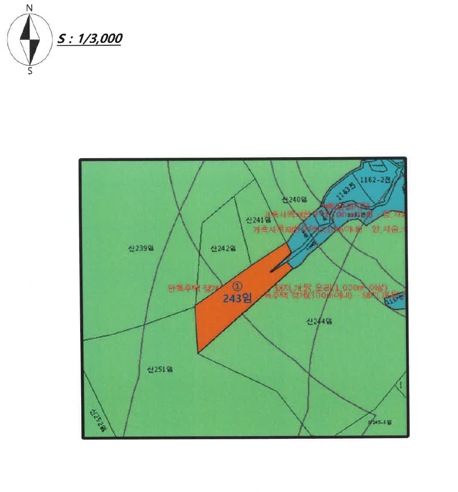 강원특별자치도 홍천군 서면 팔봉리 산243 임야 경매 사진 10