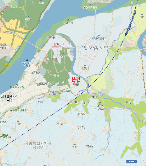 세종특별자치시 집현동 1321 대지 경매 사진 18