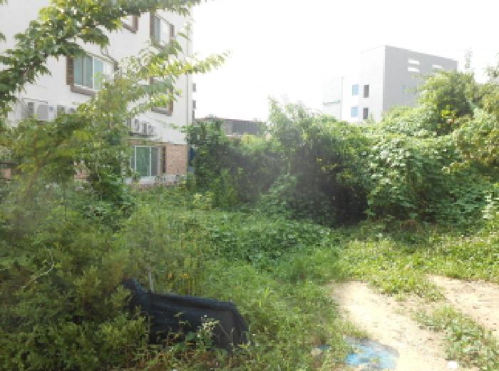 세종특별자치시 조치원읍 죽림리 333-4 과수원 경매 사진 13