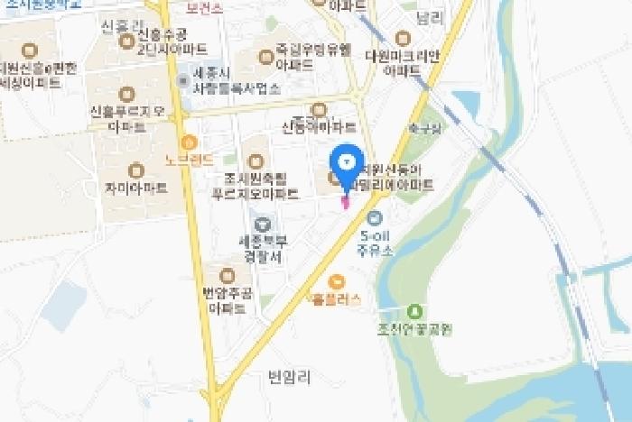세종특별자치시 조치원읍 죽림리 333-4 과수원 경매 사진 21