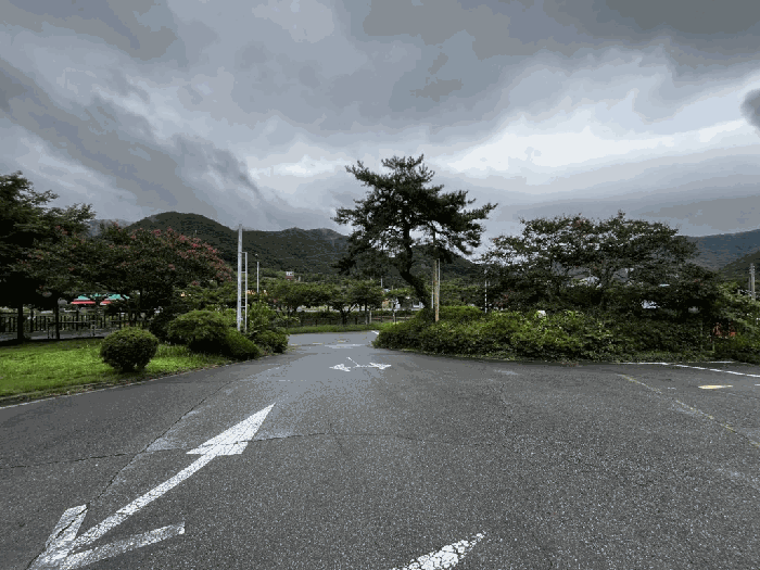 전라남도 장성군 북하면 약수리 334-2 대지 경매 사진 14