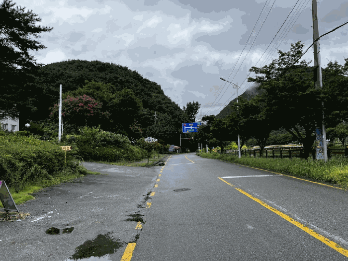 전라남도 장성군 북하면 약수리 334-2 대지 경매 사진 17