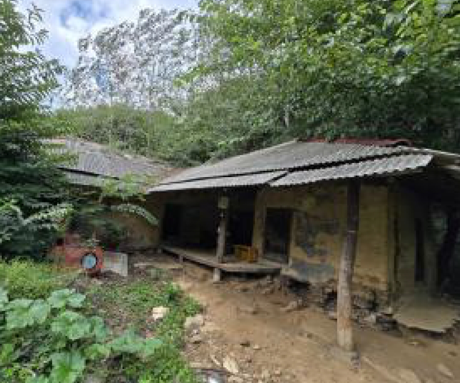 충청북도 제천시 덕산면 선고리 1034 외 1필지 전 경매 사진 5