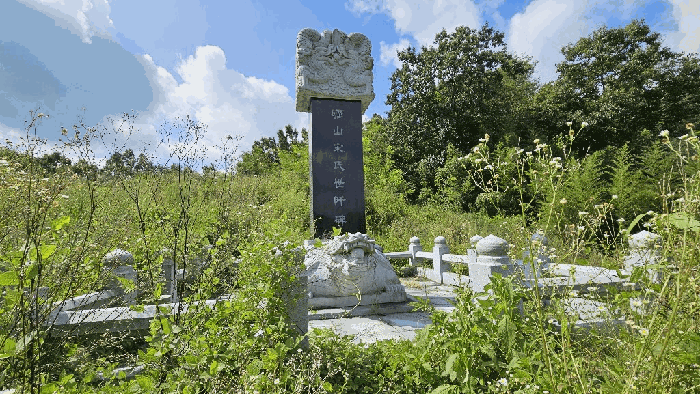 충청남도 금산군 금성면 상가리 406-15 전 경매 사진 3