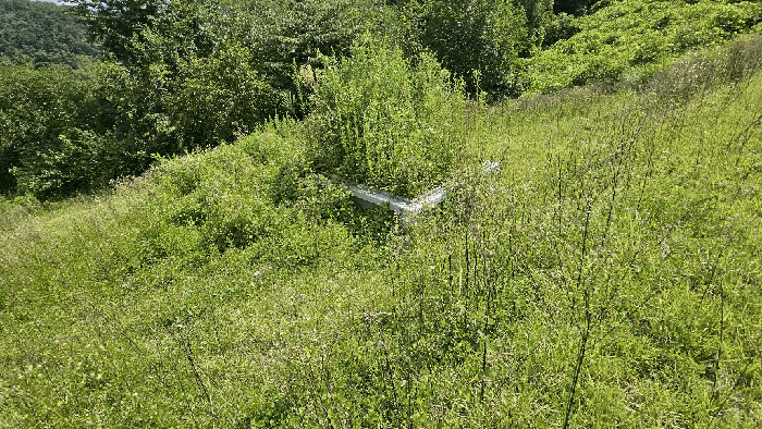 충청남도 금산군 금성면 상가리 406-15 전 경매 사진 6