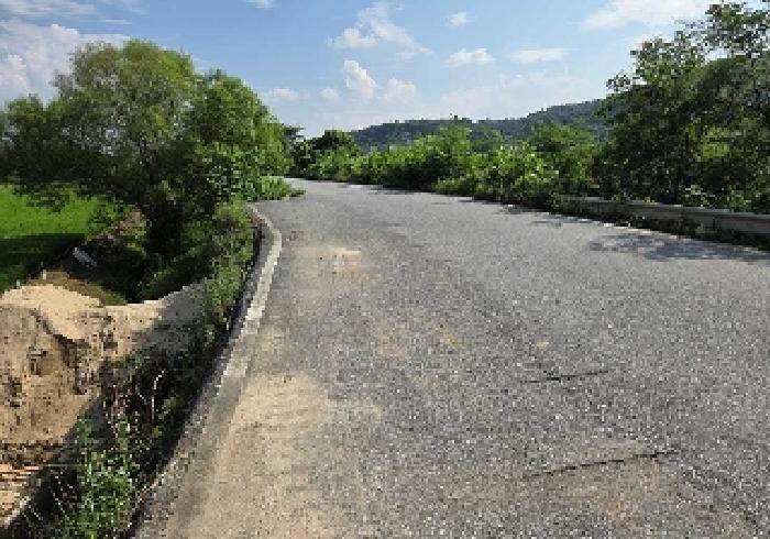 충청남도 아산시 탕정면 동산리 275-2 답 경매 사진 9