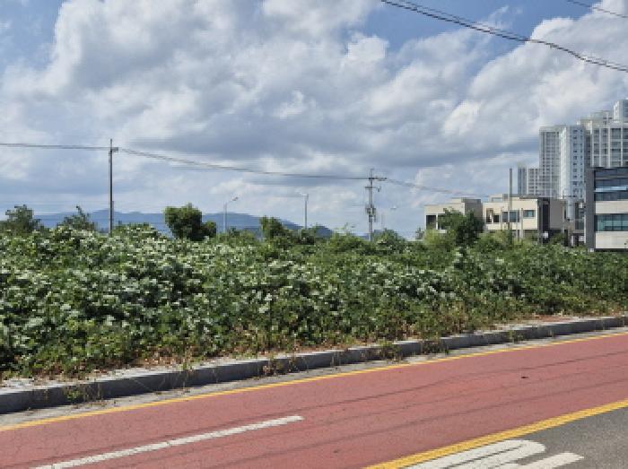 울산광역시 북구 호계동 1010-9 대지 경매 사진 2