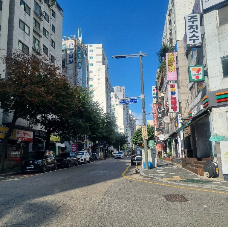 인천광역시 미추홀구 주안동 216-8 주안애팰리스2 2동 2층203호 외 1필지 오피스텔(주거) 경매 사진 3