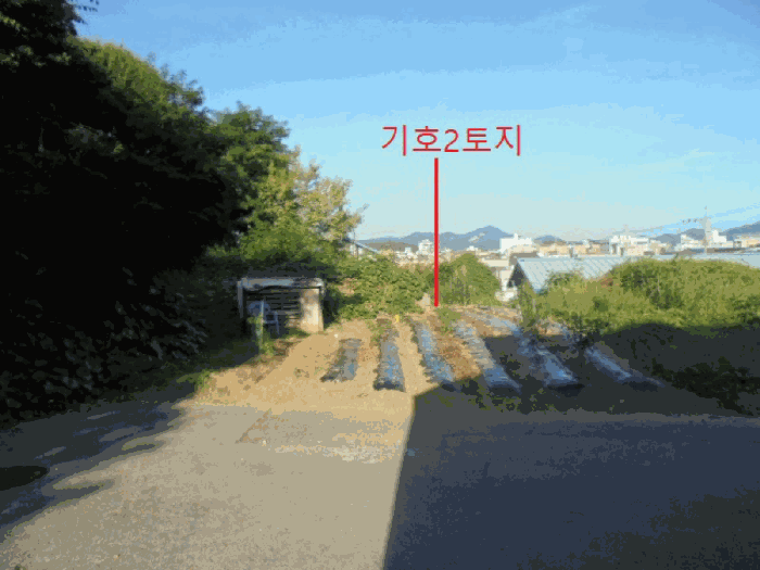 충청북도 제천시 하소동 107-4 외 1필지 전 경매 사진 14