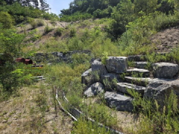 충청북도 제천시 신월동 1136-37 외 5필지 창고용지 경매 사진 6