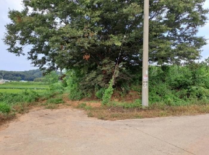 충청남도 당진시 순성면 나산리 111-2 외 3필지 전 경매 사진 2