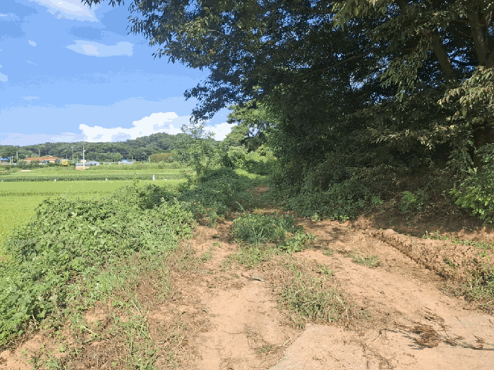 충청남도 당진시 순성면 나산리 111-2 외 3필지 전 경매 사진 12