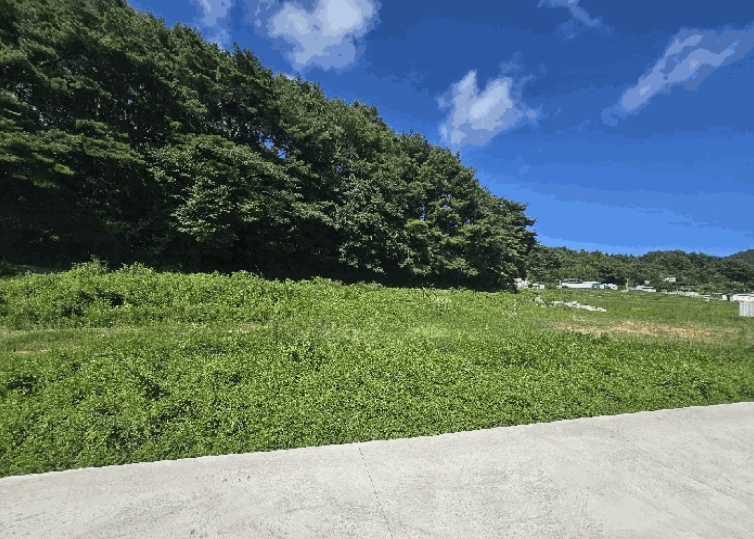 경상남도 남해군 삼동면 동천리 949 외 1필지 답 경매 사진 3