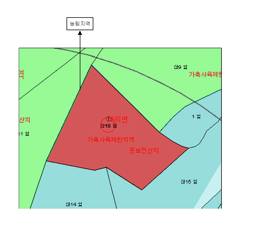 전라남도 담양군 대덕면 입석리 산10 임야 경매 사진 15