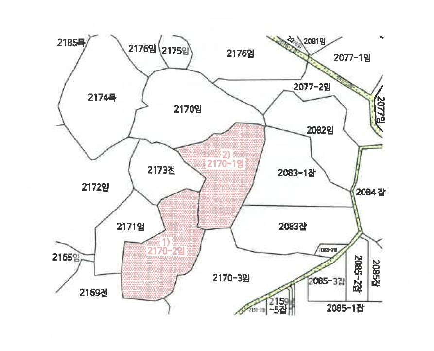 제주특별자치도 서귀포시 성산읍 삼달리 2170-2 외 1필지 임야 경매 사진 10