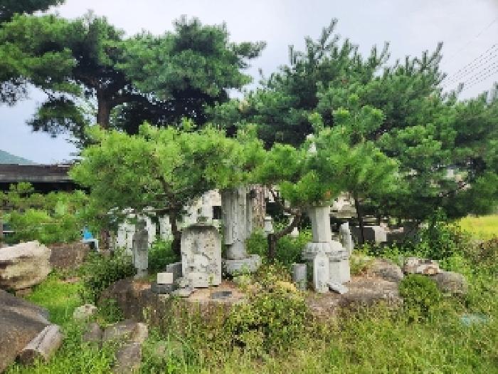 경기도 양주시 유양동 728-3 답 경매 사진 11