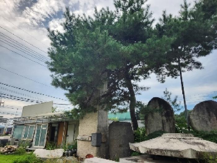 경기도 양주시 유양동 728-3 답 경매 사진 9