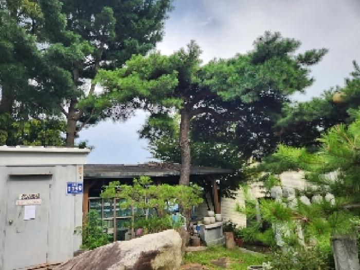 경기도 양주시 유양동 728-3 답 경매 사진 10