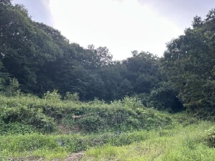 충북 괴산군 불정면 삼방리 622-1 전 경매 사진 5