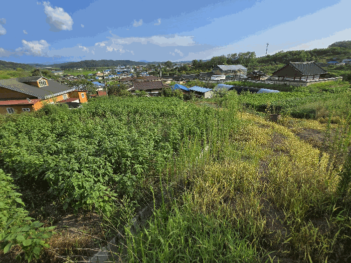 충청남도 부여군 석성면 석성리 651-8 외 2필지 전 경매 사진 4