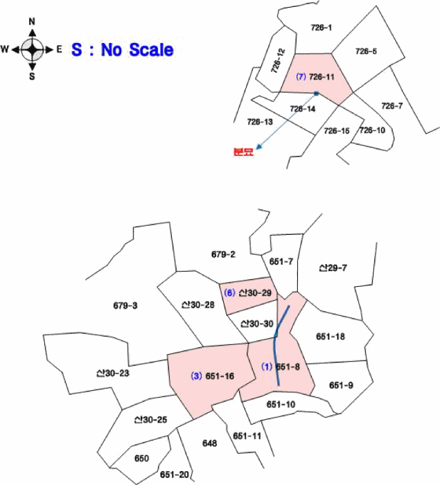 충청남도 부여군 석성면 석성리 651-8 외 2필지 전 경매 사진 10