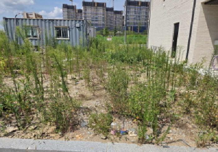 충청남도 아산시 탕정면 매곡리 1256 대지 경매 사진 35