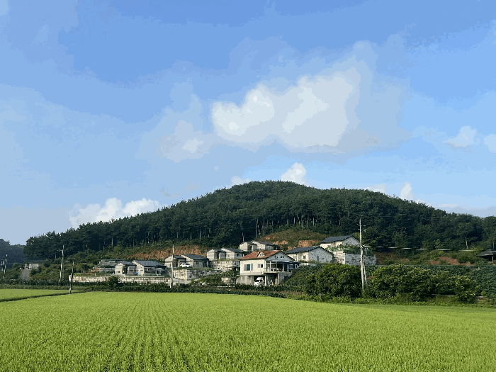 충청남도 서산시 운산면 고산리 253-18 주택 경매 사진 38