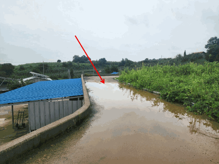 충청남도 당진시 신평면 상오리 337-6 외 4필지 전 경매 사진 30