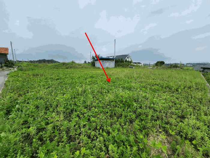 충청남도 당진시 신평면 상오리 337-6 외 4필지 전 경매 사진 33