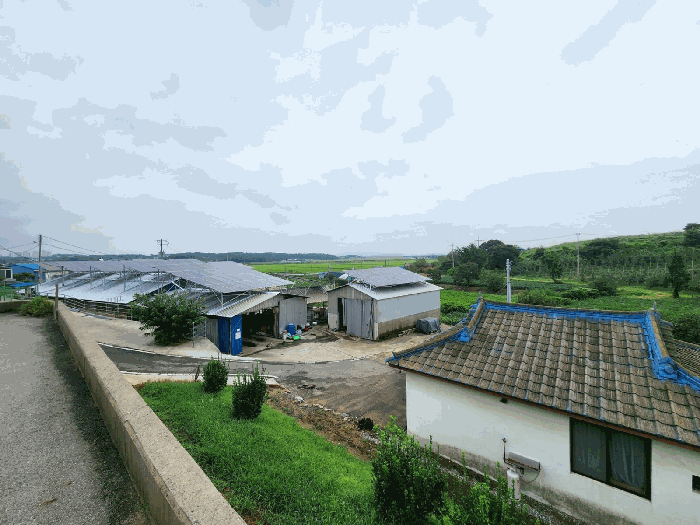 충청남도 당진시 신평면 상오리 337-6 외 4필지 전 경매 사진 36