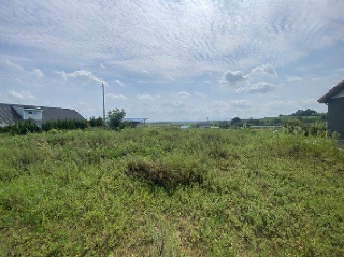 충청남도 당진시 신평면 상오리 337-6 외 4필지 전 경매 사진 6