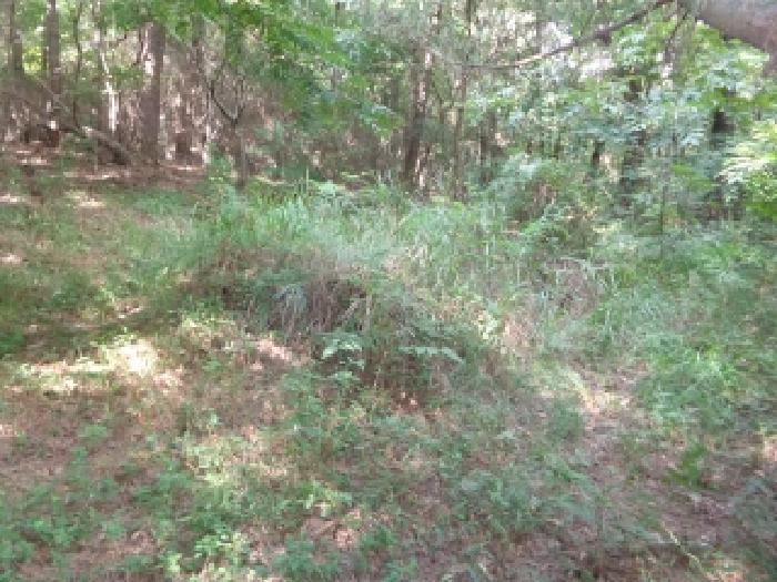 충청남도 태안군 남면 신온리 산200 임야 경매 사진 8