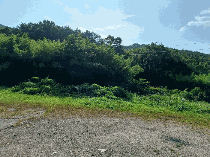 경상북도 경주시 광명동 산150 외 1필지 임야 경매 사진 1