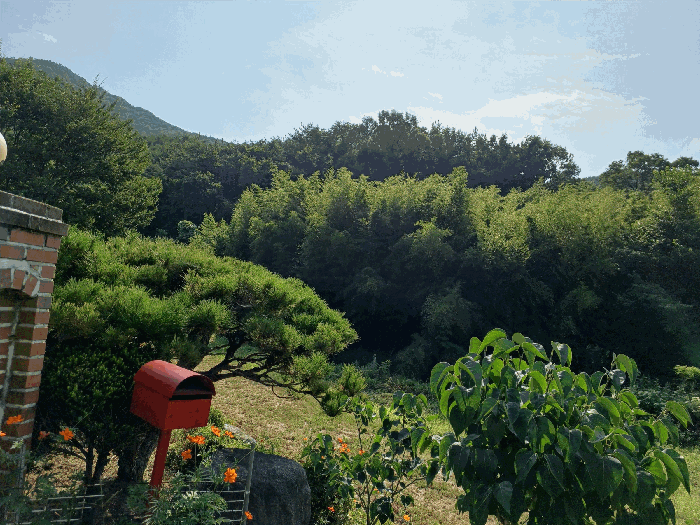 경상북도 경주시 광명동 산150 외 1필지 임야 경매 사진 2
