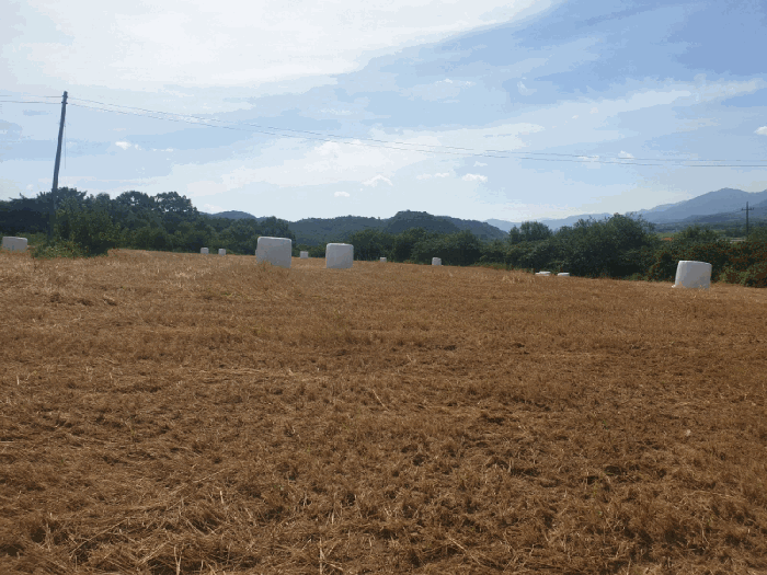 경상북도 경주시 서면 사라리 554 전 경매 사진 15