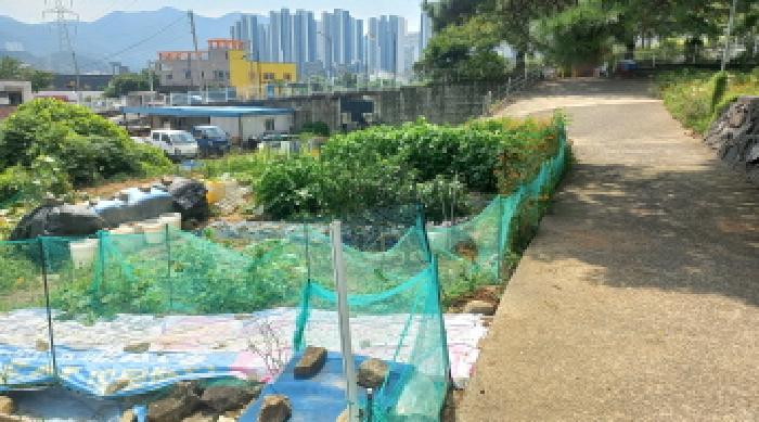 경상남도 거제시 상동동 726 외 1필지 답 경매 사진 5