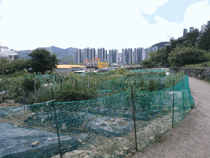 경상남도 거제시 상동동 726 외 1필지 답 경매 사진 7