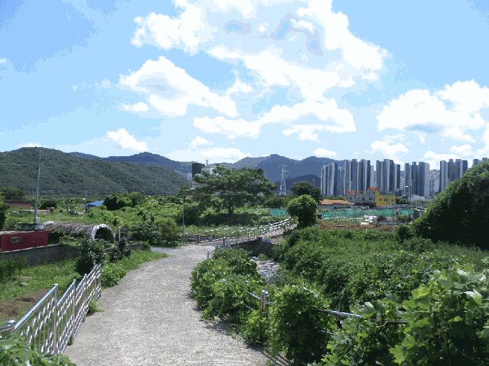 경상남도 거제시 상동동 726 외 1필지 답 경매 사진 10