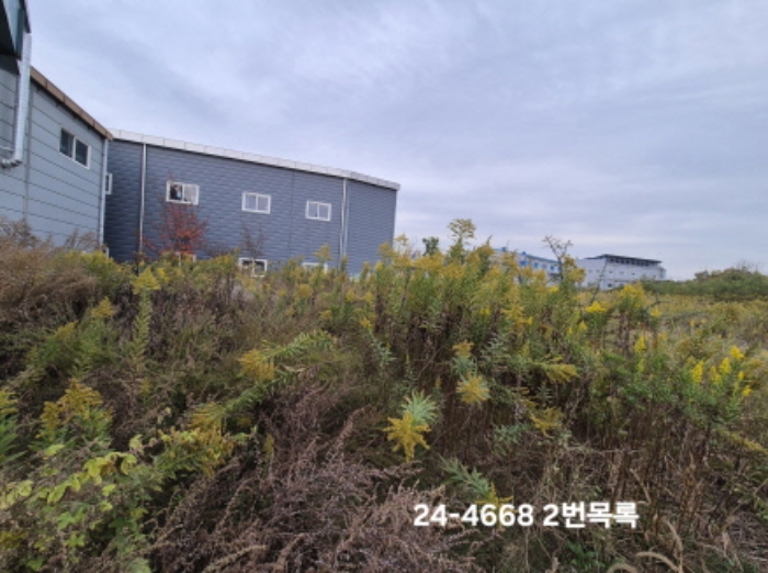 부산광역시 강서구 대저1동 3191-3 외 1필지 답 경매 사진 2