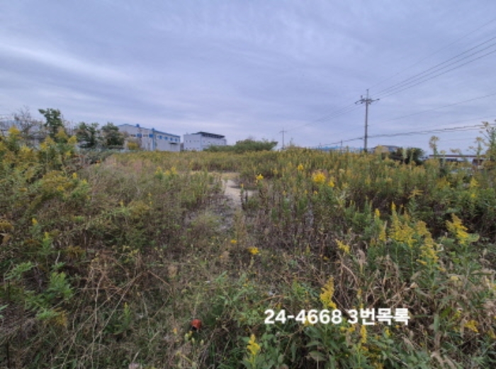 부산광역시 강서구 대저1동 3191-3 외 1필지 답 경매 사진 4