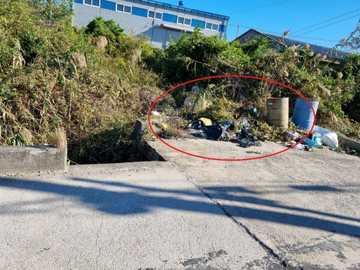 부산광역시 강서구 대저1동 3191-3 외 1필지 답 경매 사진 6