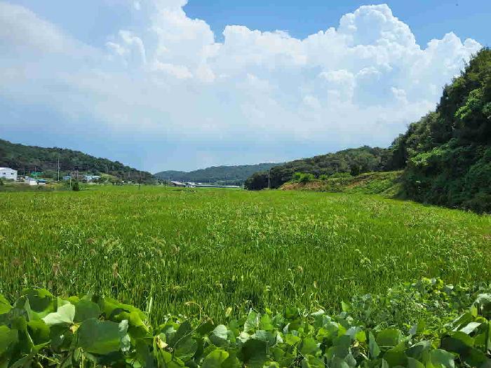 경기도 화성시 서신면 홍법리 366-2 전 경매 사진 1