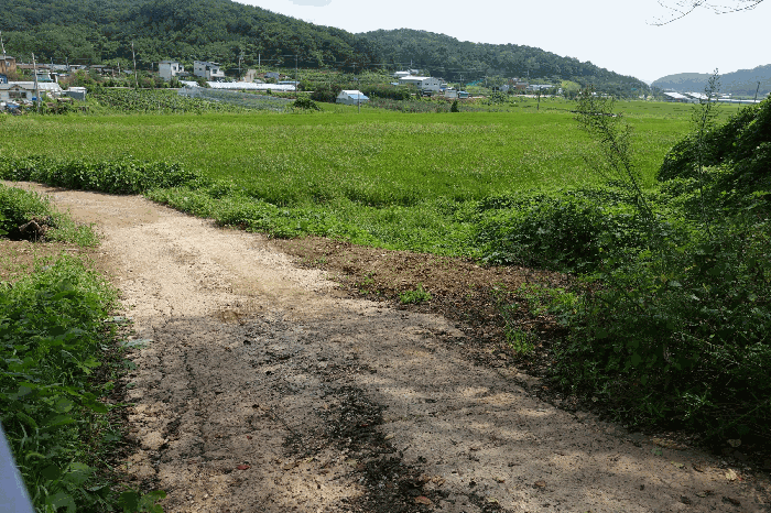 경기도 화성시 서신면 홍법리 366-2 전 경매 사진 2