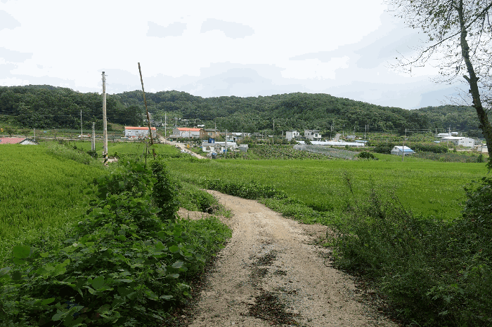 경기도 화성시 서신면 홍법리 366-2 전 경매 사진 3