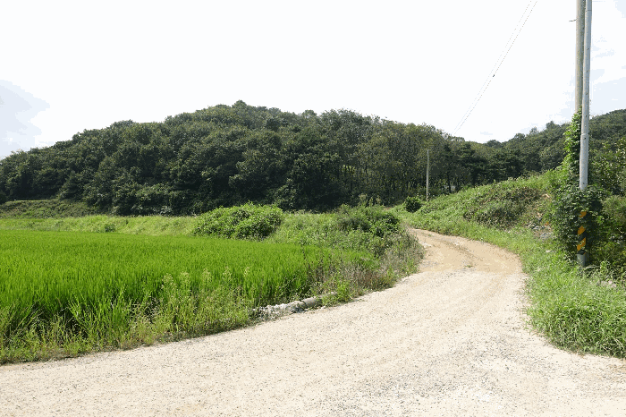 경기도 화성시 서신면 홍법리 366-2 전 경매 사진 4