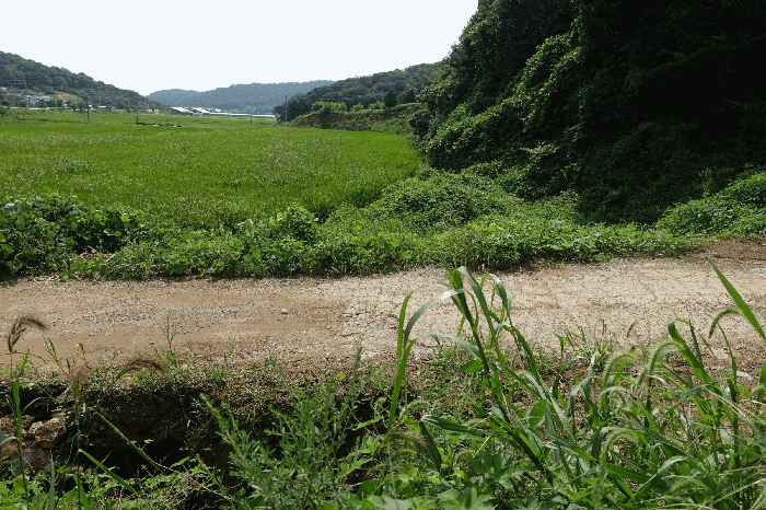 경기도 화성시 서신면 홍법리 366-2 전 경매 사진 5