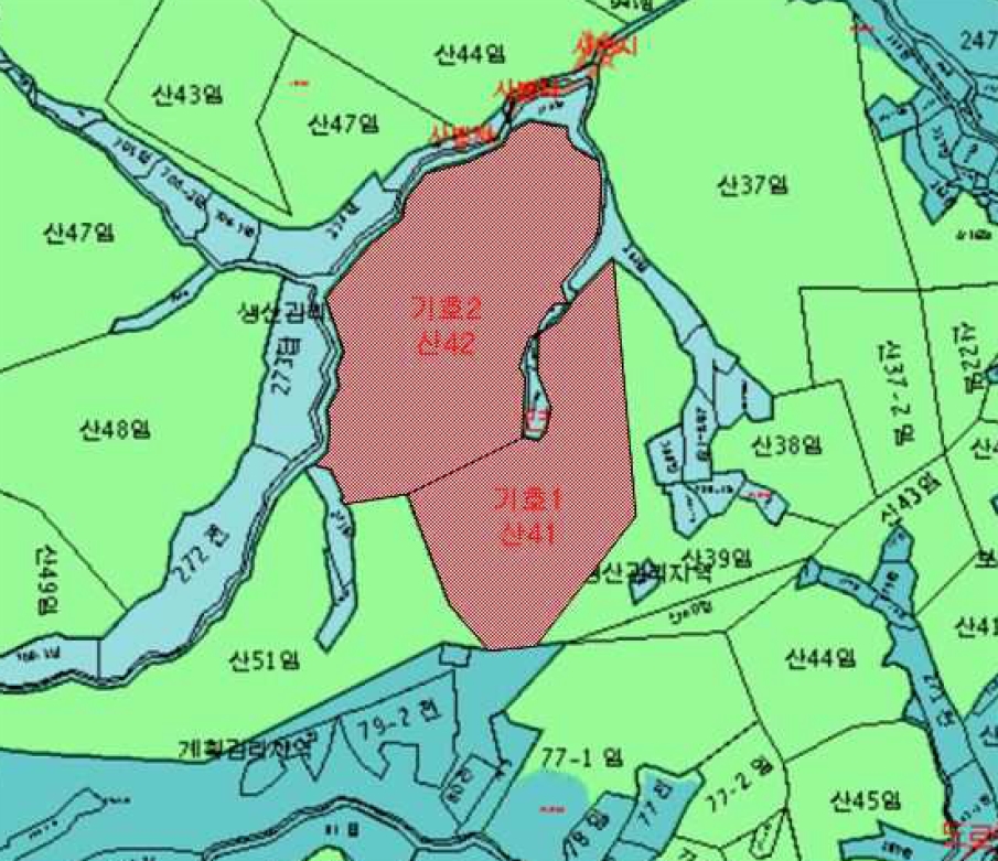 강원특별자치도 양양군 손양면 상왕도리 산41 외 1필지 임야 경매 사진 13